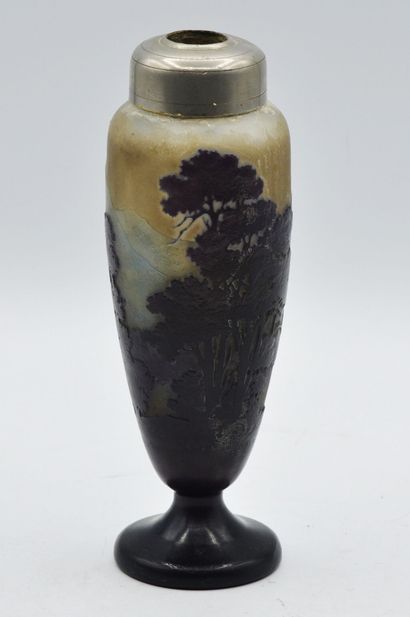 null Emile GALLE

Vase en verre multicouche à décor de paysage de montagne dégagé...