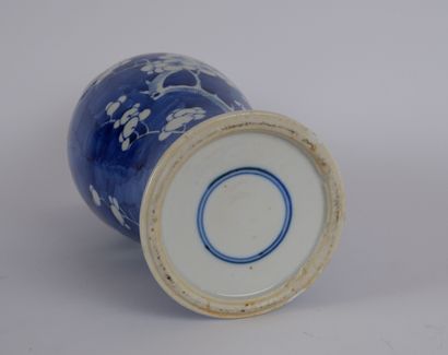 null CHINE

Vase de forme balustre en porcelaine émaillée bleu blanc à décor de cerisiers...