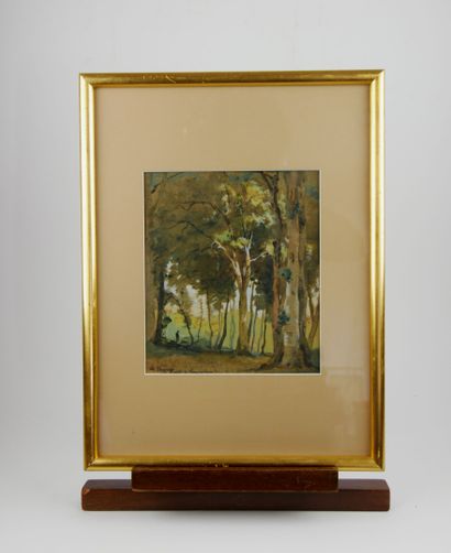 Pierre CHAPUIS (1863-1942) 
Forêt de Compiègne...