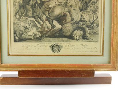 null D'après Pierre-Paul RUBENS (1577-1640)

La chasse au lion et au tigre

Gravure...