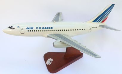 null BOEING B-737 AIR FRANCE.

Maquette contemporaine en bois peint immatriculée...