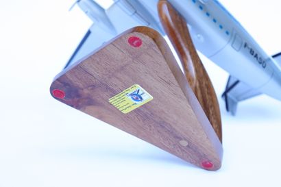 null BREGUET 765 Deux-Ponts AIR FRANCE.

Painted wooden model with the registration...