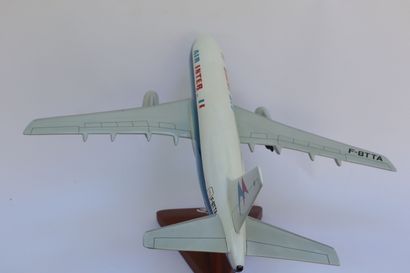 null DASSAULT MERCURY 100 AIR INTER.

Contemporary wooden model decorated and registered...