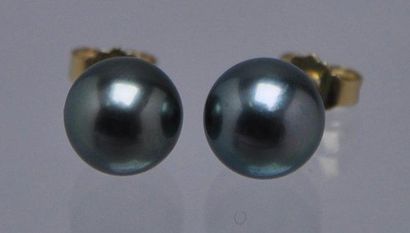 null Paire de boucles d'oreille en or ornées d'une perle de Tahiti. 8,7 mm