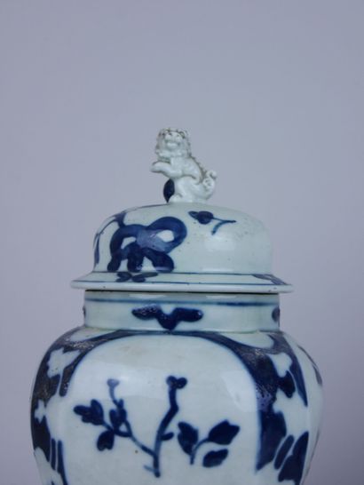null Paire de vases couverts en porcelaine à décor blanc bleu de végétaux, le fretel...
