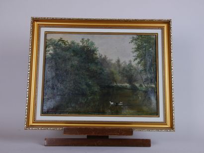  Frans DAUGE (1831-1895) 
La mare aux canards 
Huile sur toile signée en bas à gauche...
