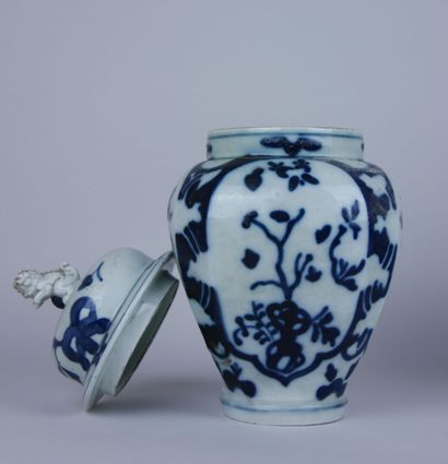 null Pair of covered porcelain vases with white-blue decoration of plants, the fretel...