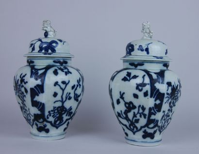 Paire de vases couverts en porcelaine à décor...