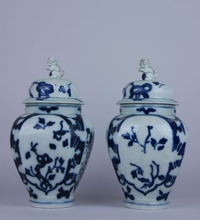 null Pair of covered porcelain vases with white-blue decoration of plants, the fretel...