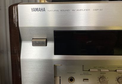 null YAMAHA Made in Japan

Natural Sound amp model DSP-A1 

Dimensions: 19 x 47 x...