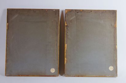  Pair of engravings in colors representing : 
" One never knows everything " after...