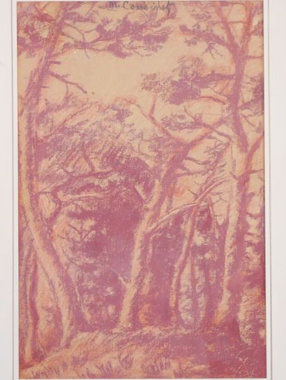null Marguerite COUSINET (1886- 1970)

The undergrowth 

Sanguine on paper signed...