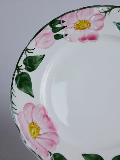 null VILLEROY & BOCH

Partie de service de table en faïence modèle « wild rose »...