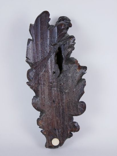 null Decorative element in carved oak representing a young man surrounded by acanthus...