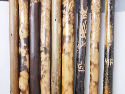 null Lot of 14 walking sticks and 2 wooden sticks with engraved decoration coming...