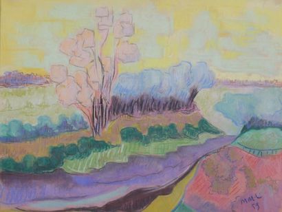 null Maurice Marie Léonce SAVIN (1894 - 1973)

Le chemin de Quinquis 

Pastel sur...