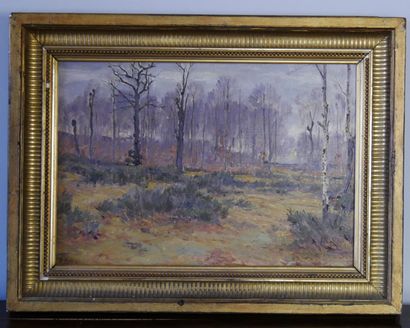 null Jules ROUFFET (1862 - 1931)

Landscape of undergrowth

Oil on canvas signed...