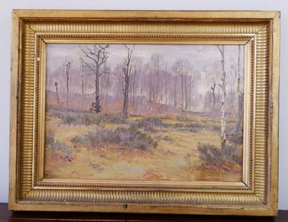 null Jules ROUFFET (1862 - 1931)

Landscape of undergrowth

Oil on canvas signed...