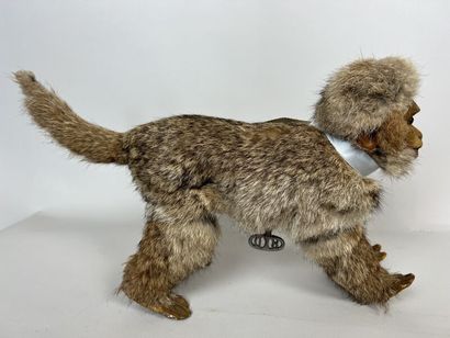 null ROULLET DECAMP

Monkey 

Mechanical automaton decorated with rabbit fur. Wears...