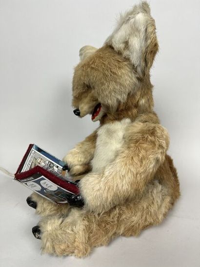 ROULLET DECAMPS

Reading fox 

Electric automaton...