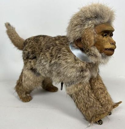 null ROULLET DECAMP

Monkey 

Mechanical automaton decorated with rabbit fur. Wears...