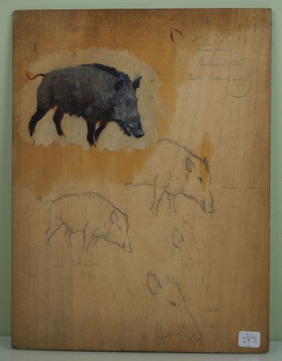 null André MARCHAND (1877-1951) 

Study of wild boars 

Oil and pencil on panel 

35...