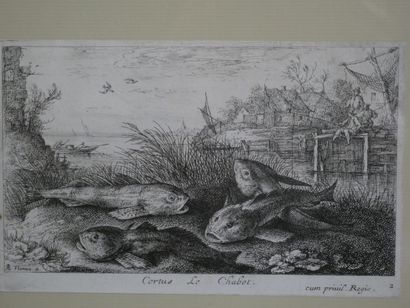 null D'après Albert FLAMEN (1620-1692)

« Seconde partie de poissons d'eau douce »...