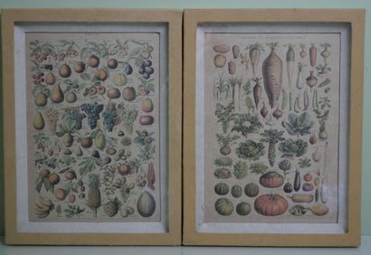 null Two framed pieces representing "fruits" and "vegetables and vegetable plants...