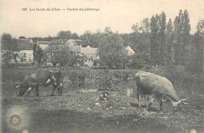 null 11 POSTCARDS RURAL LIFE AND WORK: Various. "Country scenes (without caption,...