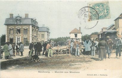 null 11 POSTCARDS THE MARKETS: Small selection from the Province. "Abbeville-La Halle...