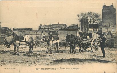 null 15 POST CARDS PARIS 18th: The Maquis. "655-Study in the Maquis (Horses, colored),...