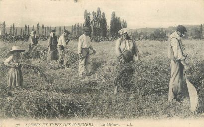 null 6 CARTES POSTALES METIERS : Petite Sélection Province. "Un pressoir bourguignon-Beaune...