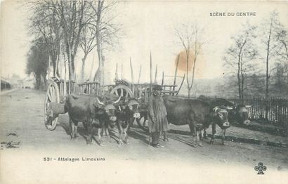 null 9 POSTCARDS SCENES & TYPES : The Limousin. "Limoges-Limousin types (2 women...