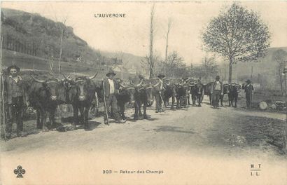 null 43 POSTCARDS SCENES & TYPES: Auvergne. Including" 22-Paysanne de Villard, 157-Environs...