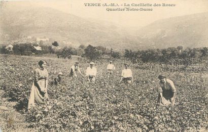 null 6 POSTCARDS : Small selection from the Province. "Un pressoir bourguignon-Beaune...