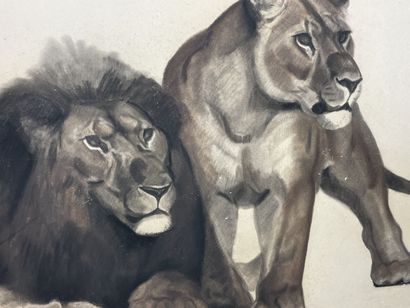 null 
Georges Lucien GUYOT (1885-1972)




Couple of lions




Charcoal and pencil...