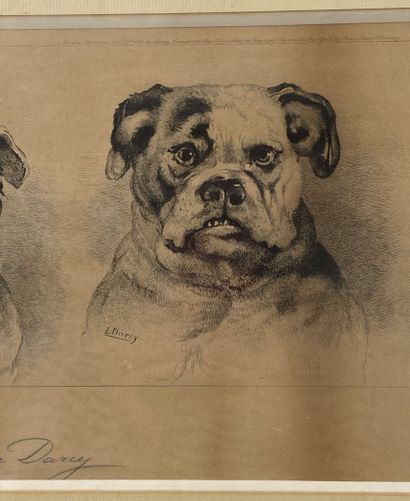 null Laura DARCY (active circa 1881 - 1905) after 

The Bulldogs 

Engraving on paper...