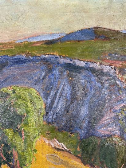 null René SEYSSAUD (1867-1952)

Mediterranean landscape 

Oil on canvas signed in...