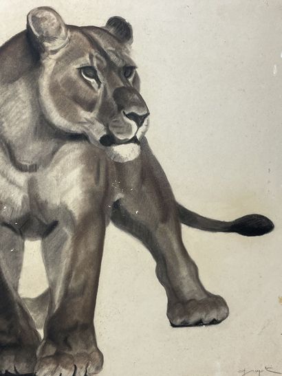 null 
Georges Lucien GUYOT (1885-1972)




Couple of lions




Charcoal and pencil...