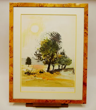 null Michel JOUENNE (1933-2021)

Earth under the sun 

Lithograph in color, artist's...