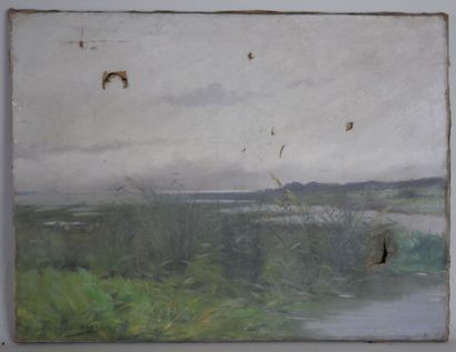 Alexandre LAVAU-REVEL (1856-?)

The marshes...