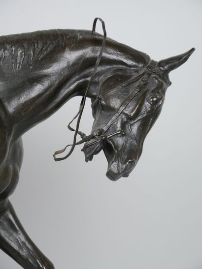null FREMIET, Emmanuel (1824-1910) :

Horse

Proof in bronze with black brown patina,...