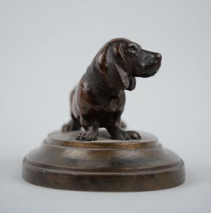 null Proof in bronze with brown patina representing a dachshund.

End of the 19th...