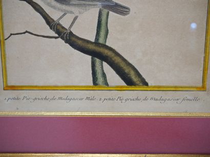 null D'après François-Nicolas MARTINET (1731-1804)

8 planches rehaussées extraites...