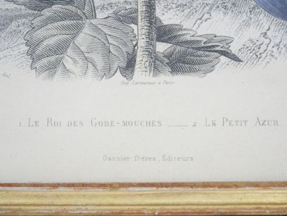 null D'après Édouard TRAVIES (1809-1876)

Suite de 6 planches gravées et colorées...