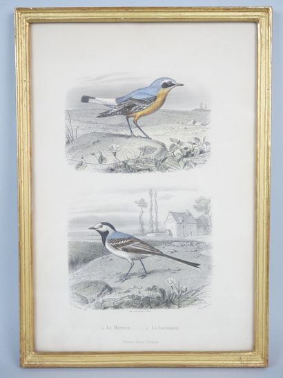 null After Édouard TRAVIES (1809-1876)

Suite of 6 engraved and colored plates with...