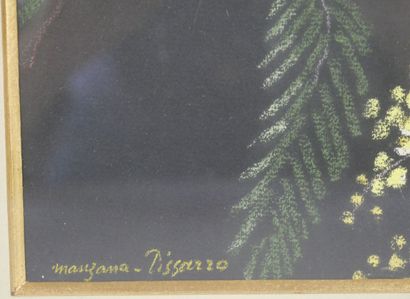 null Georges MANZANA-PISSARRO (1871-1961)

Perruches sur une branche de mimosa 

Pastel...