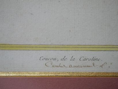 null D'après François-Nicolas MARTINET (1731-1804)

8 planches rehaussées extraites...