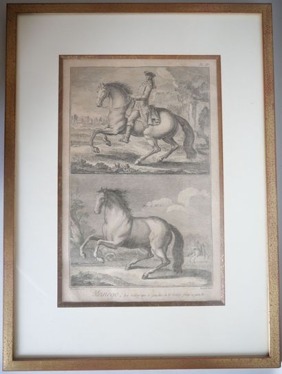 null Jacques Renaud BENARD (1731-1794)

Manege, the plain gallop on the left and...