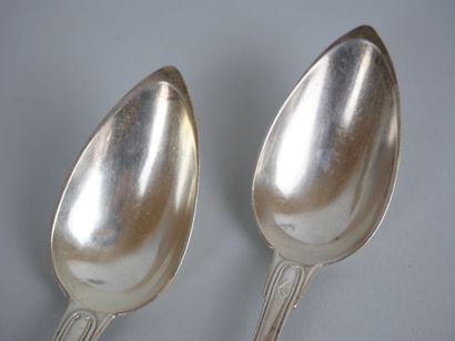 null Suite of 12 spoons in silver 925 thousandths model tail of rat. MO : HC
Weight...